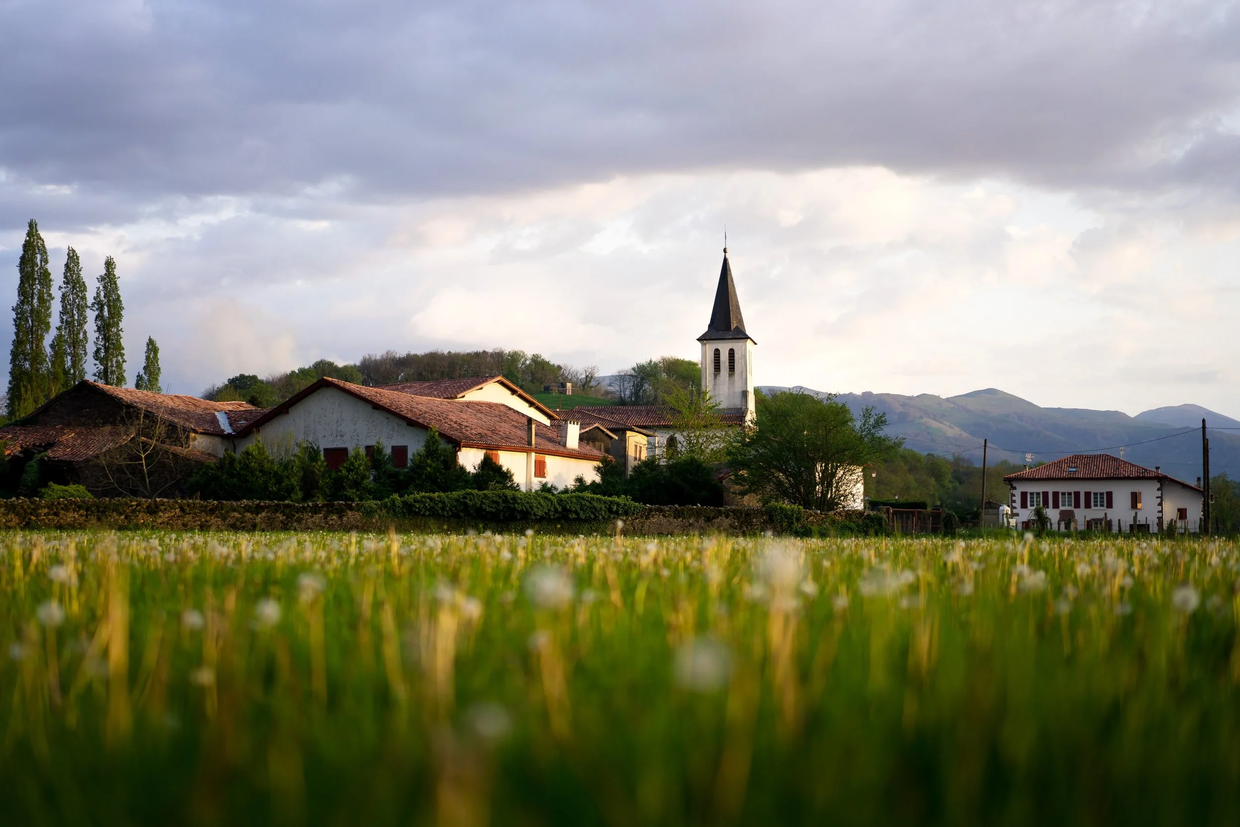 French village & field.jpg
