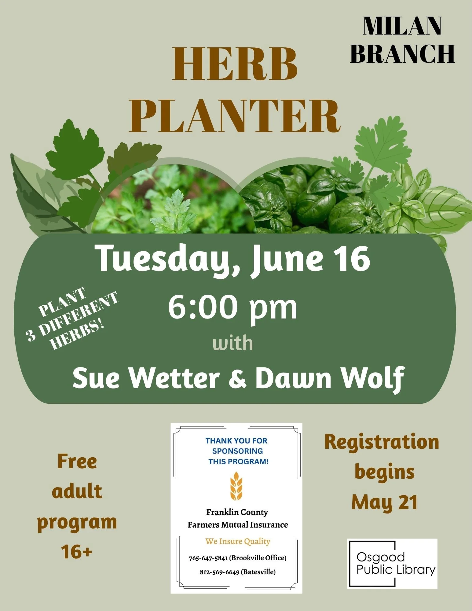 ADULTS-Herb Planter