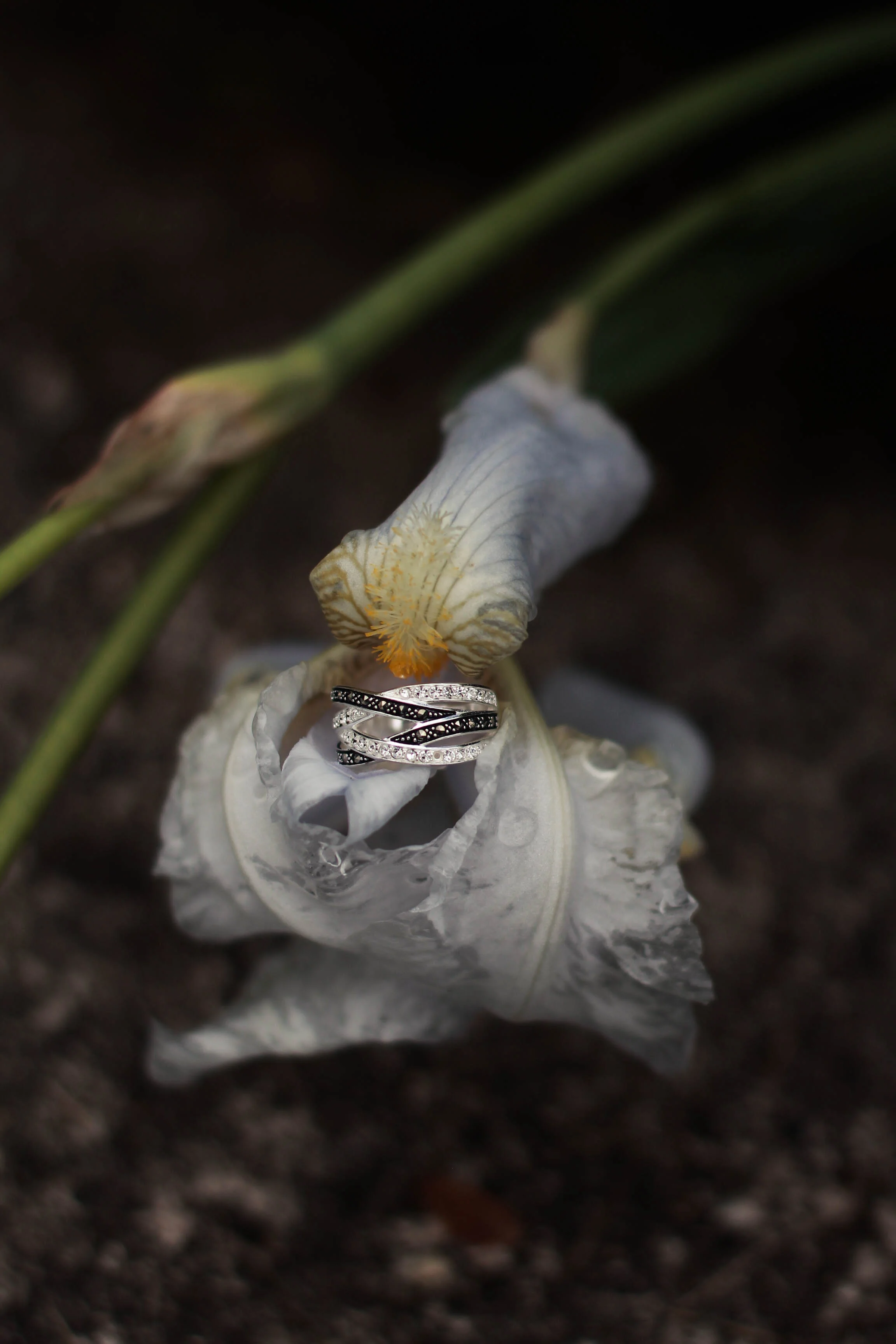 Wrap Ring