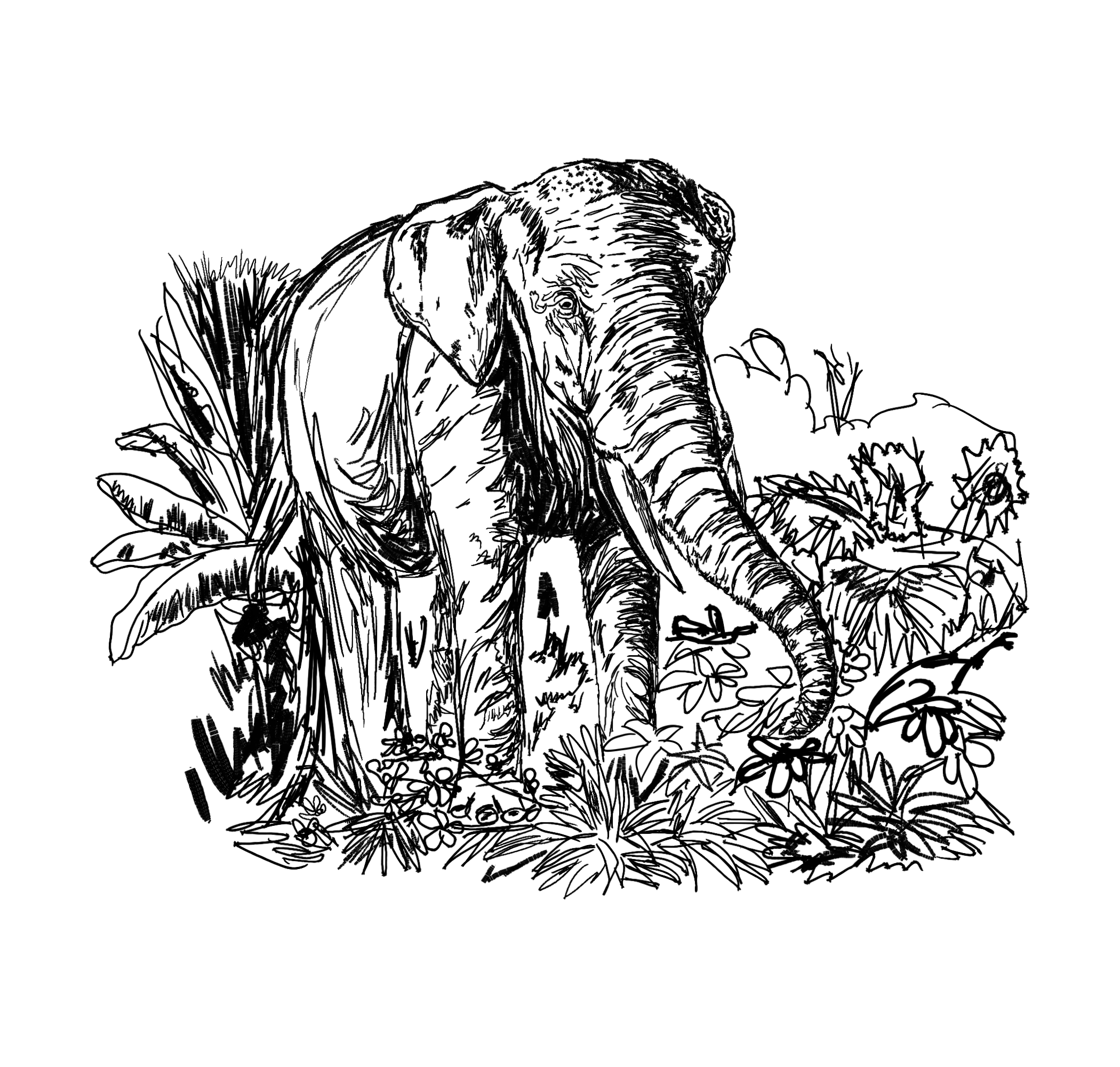 25825563208_f95b647890_o.png