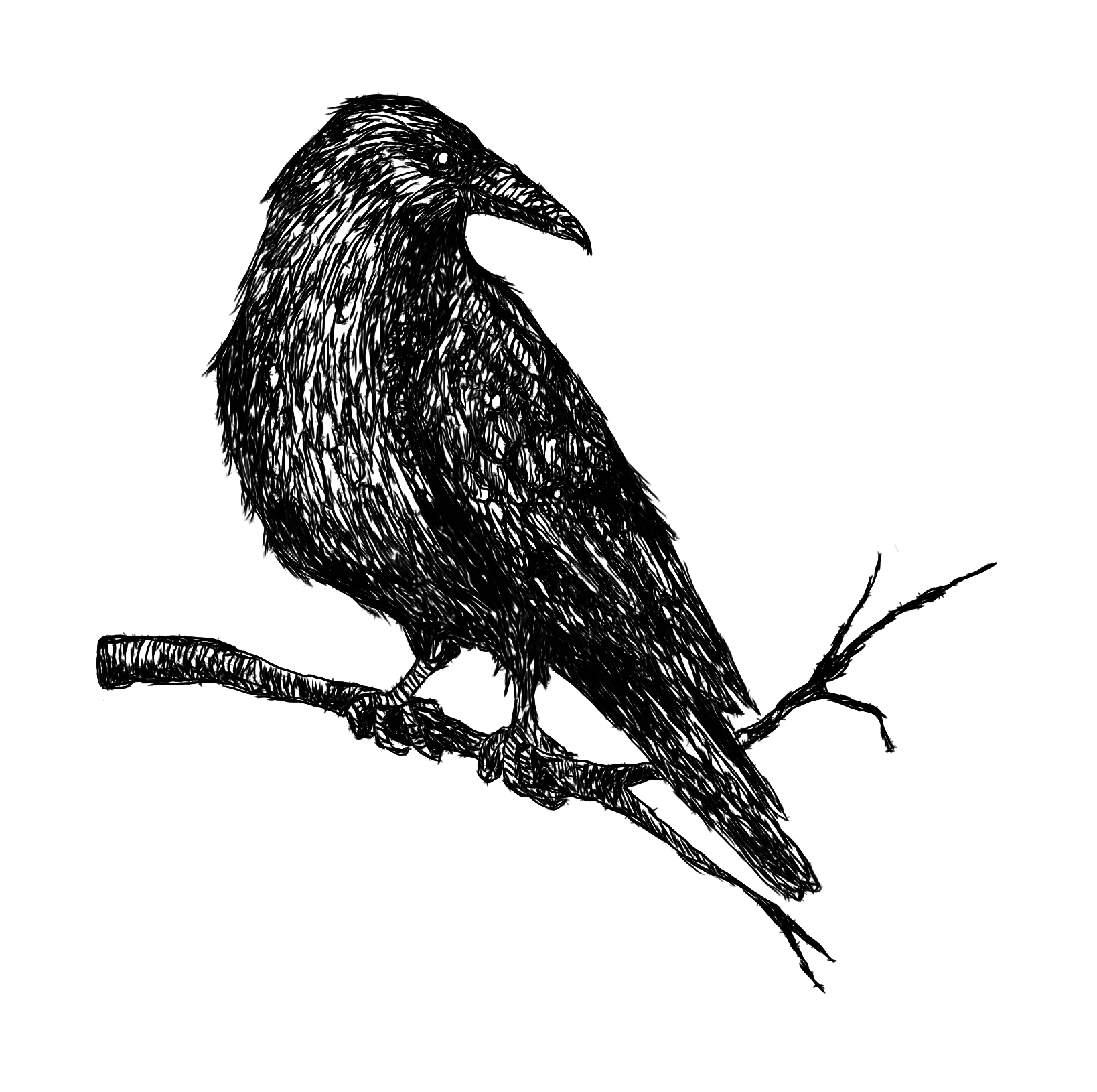 40944554071_0da2c34229_o.png