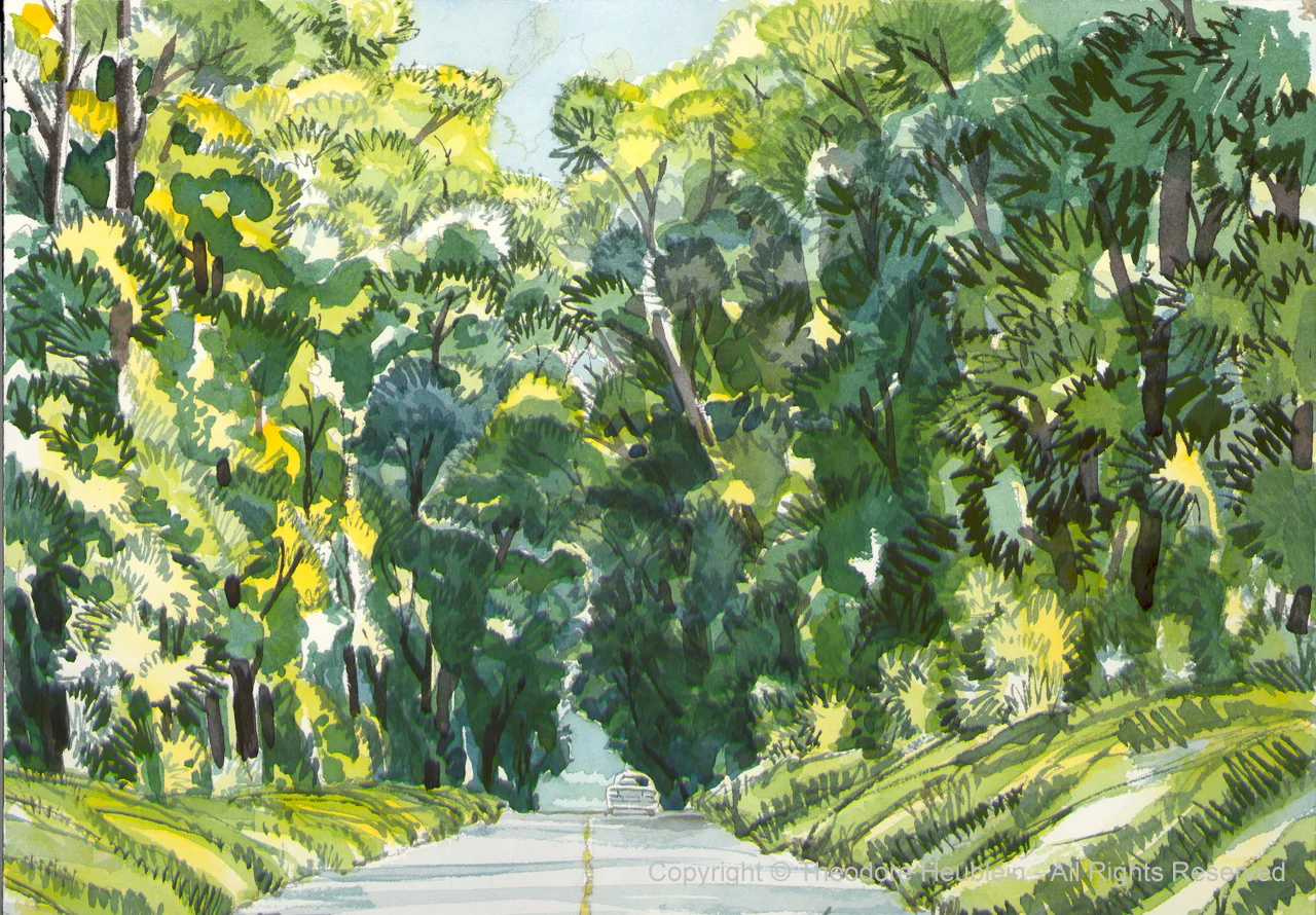 Tree Tunnel 200307