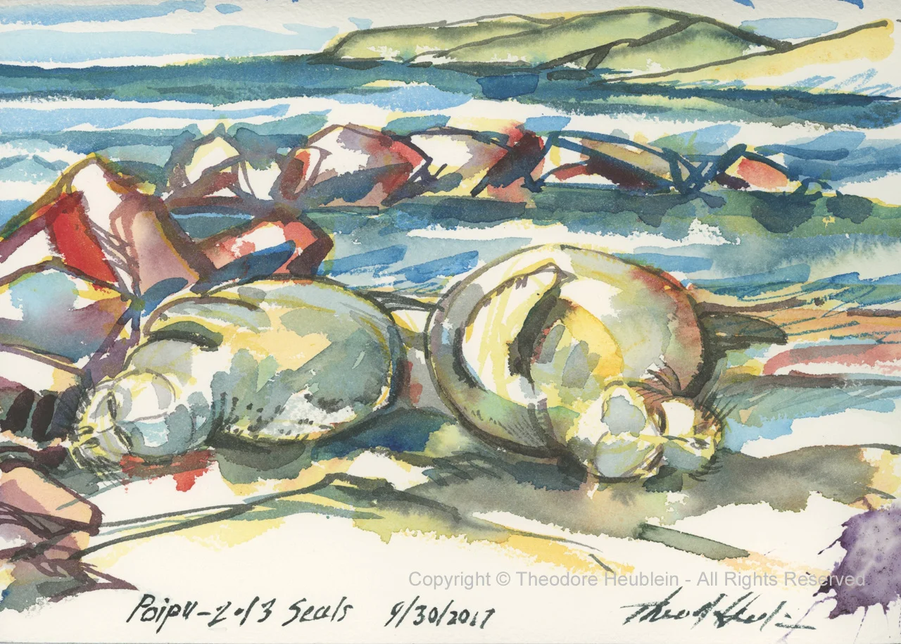 Poipu 2 of 3 Seals 20170930