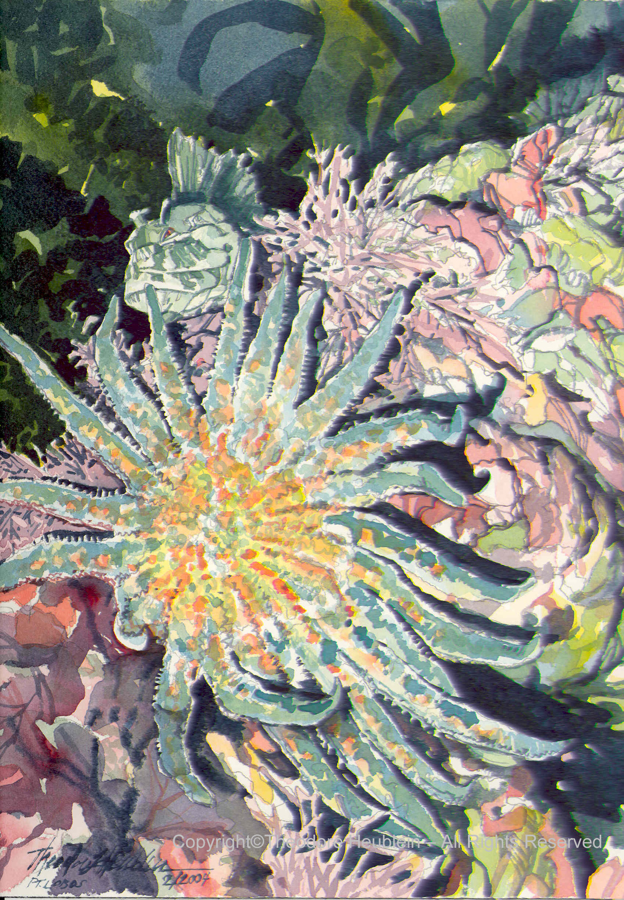 Cabazon and Sea Star_2004