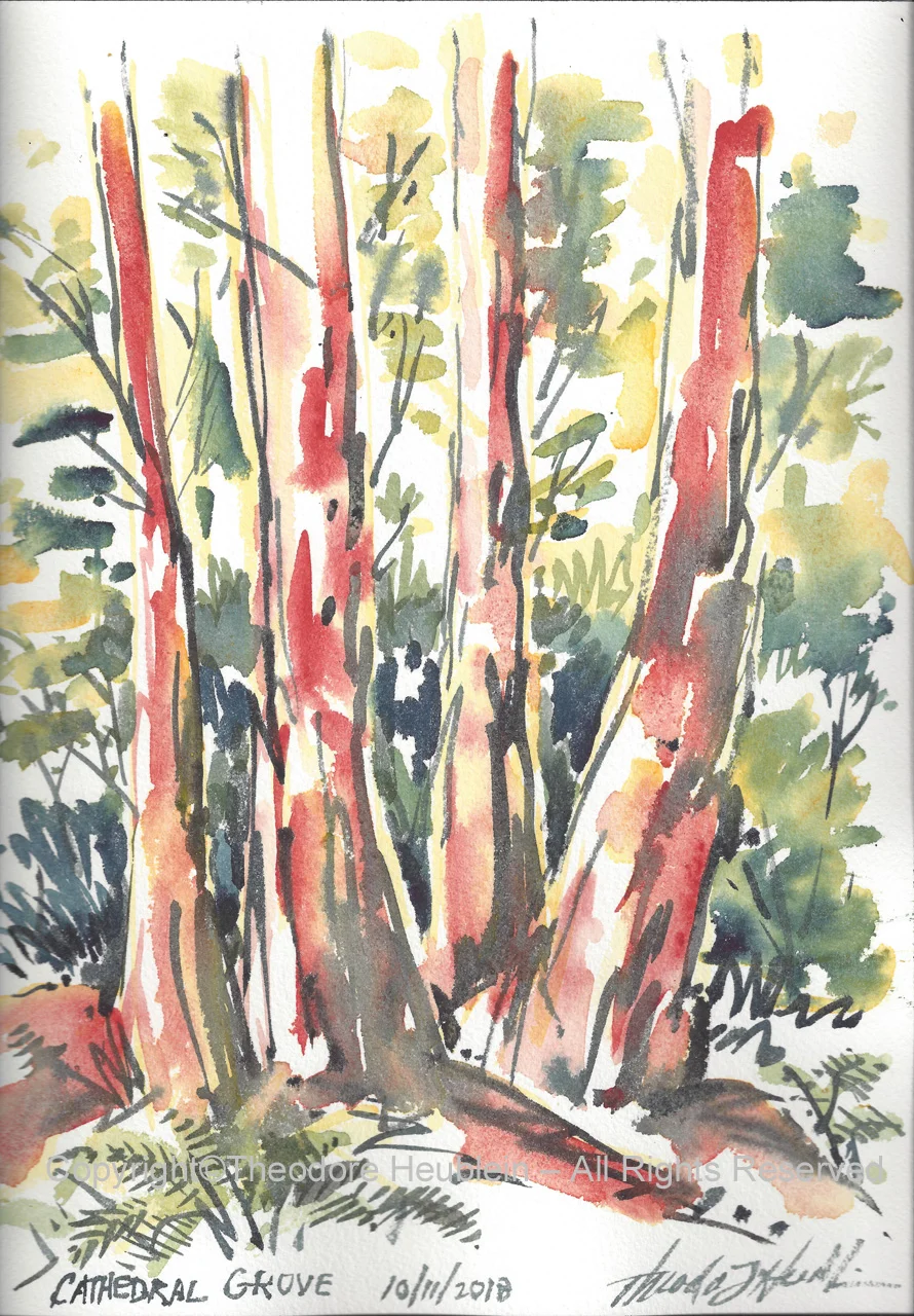Cathedral Grove 20181011