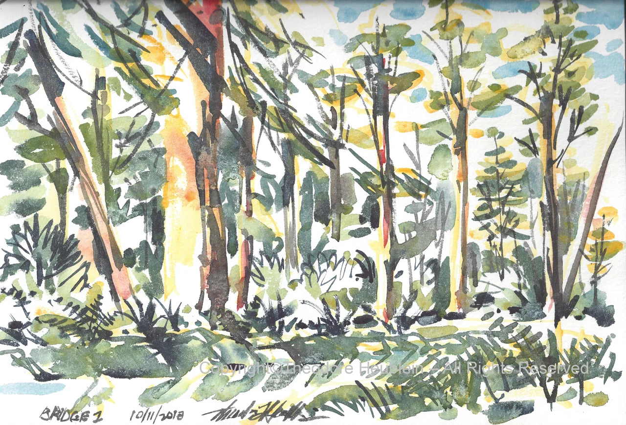 Bridge2 20181011
