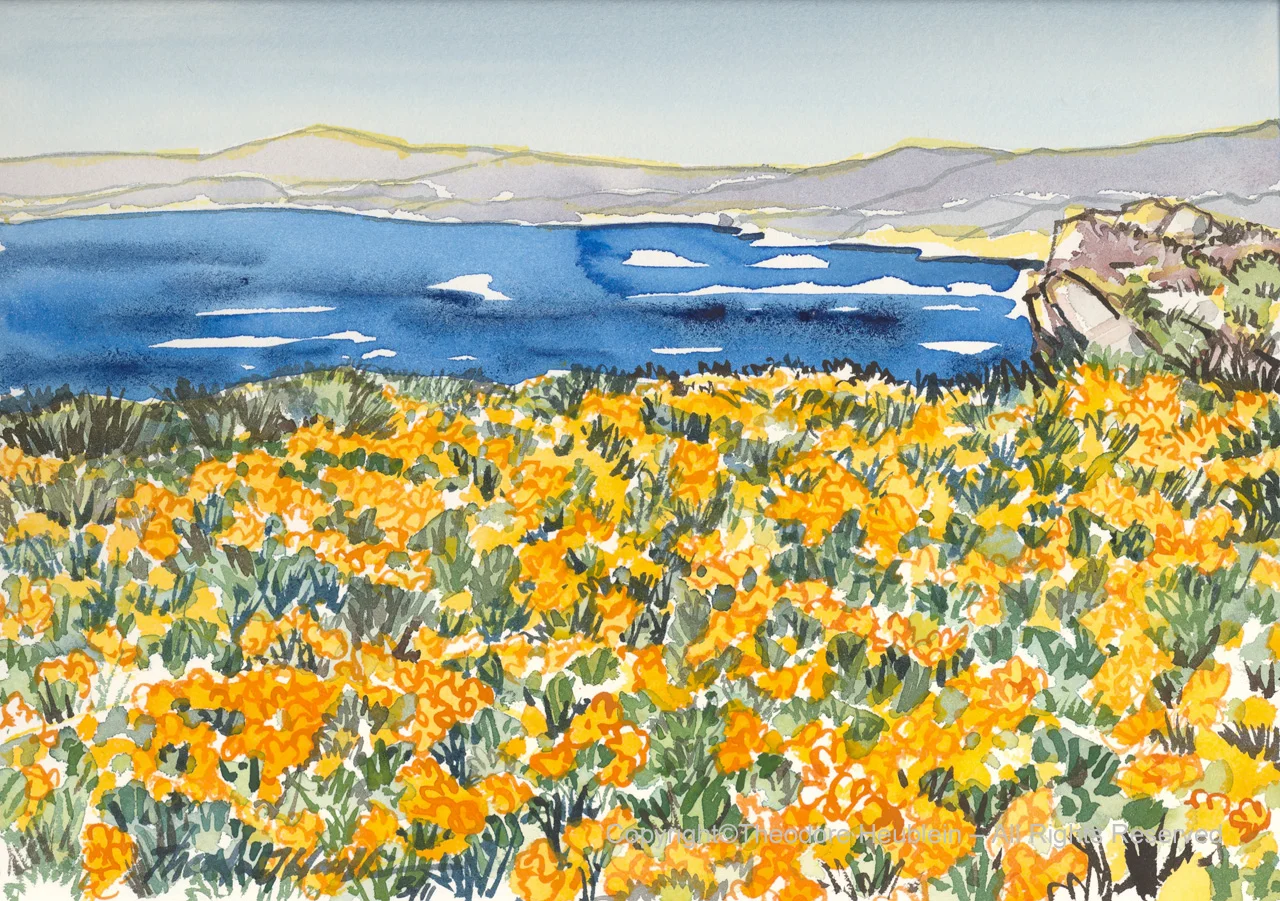 Golden California Poppies