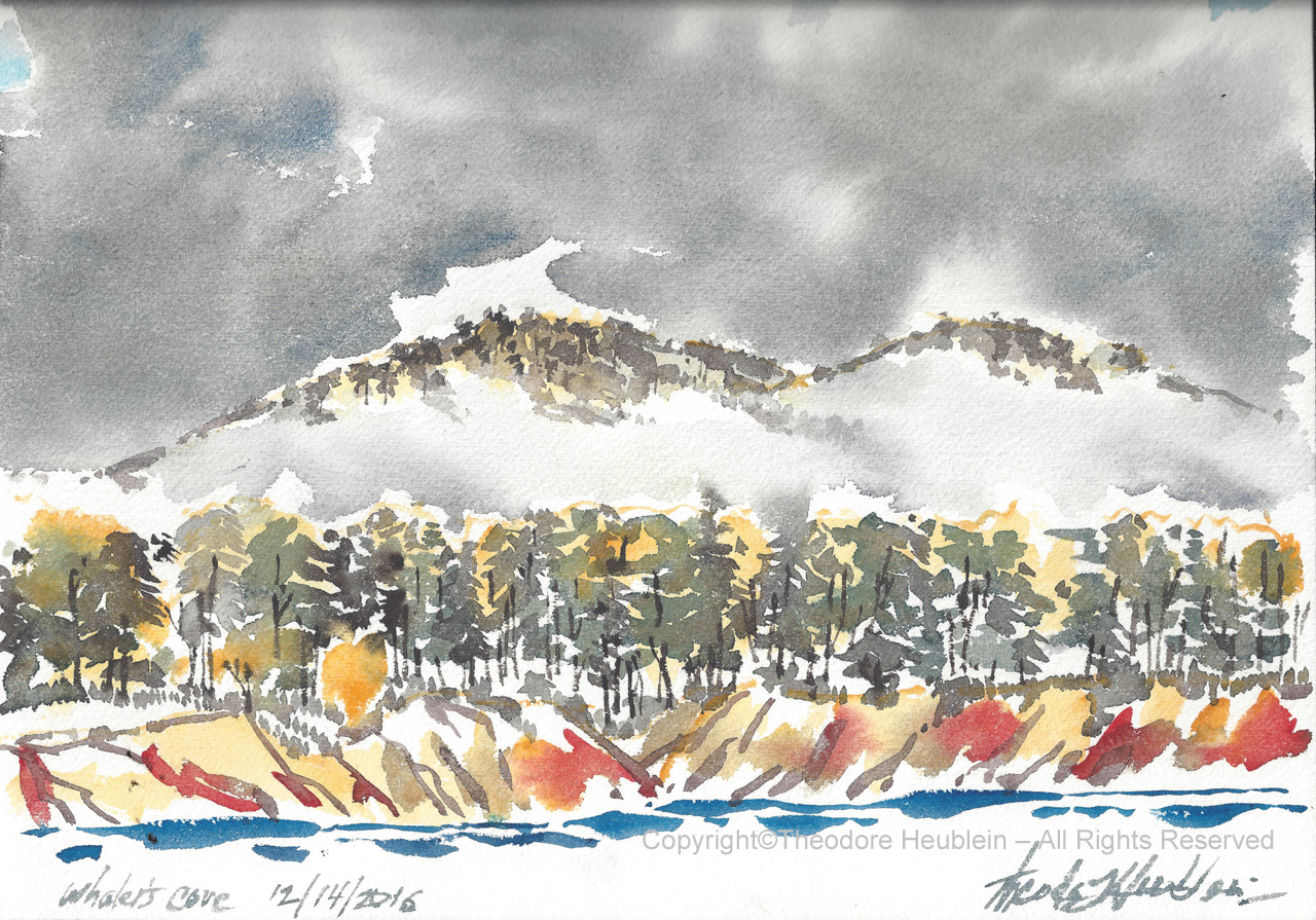 Whalers Cove 20161214