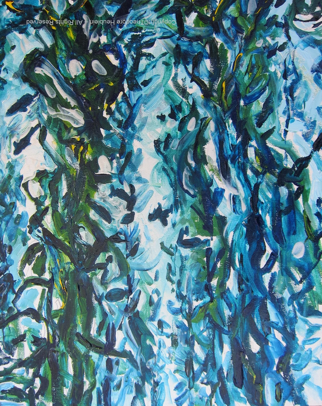 Kelp Forest