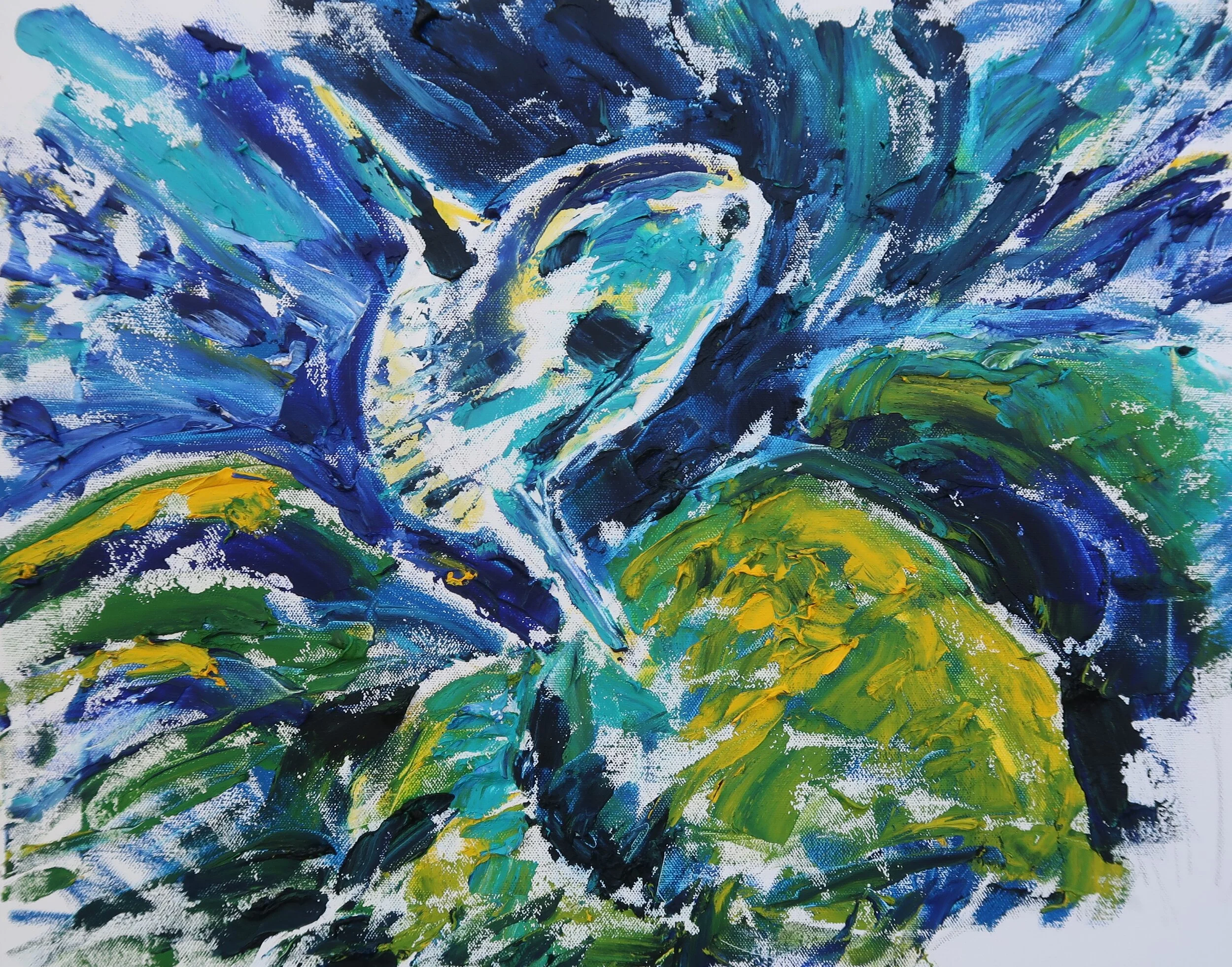 Great Pinnacle Sunfish