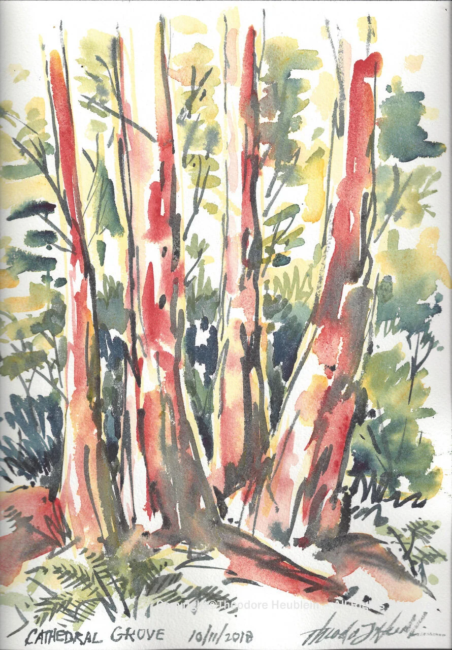 Cathedral Grove 20181011.jpg