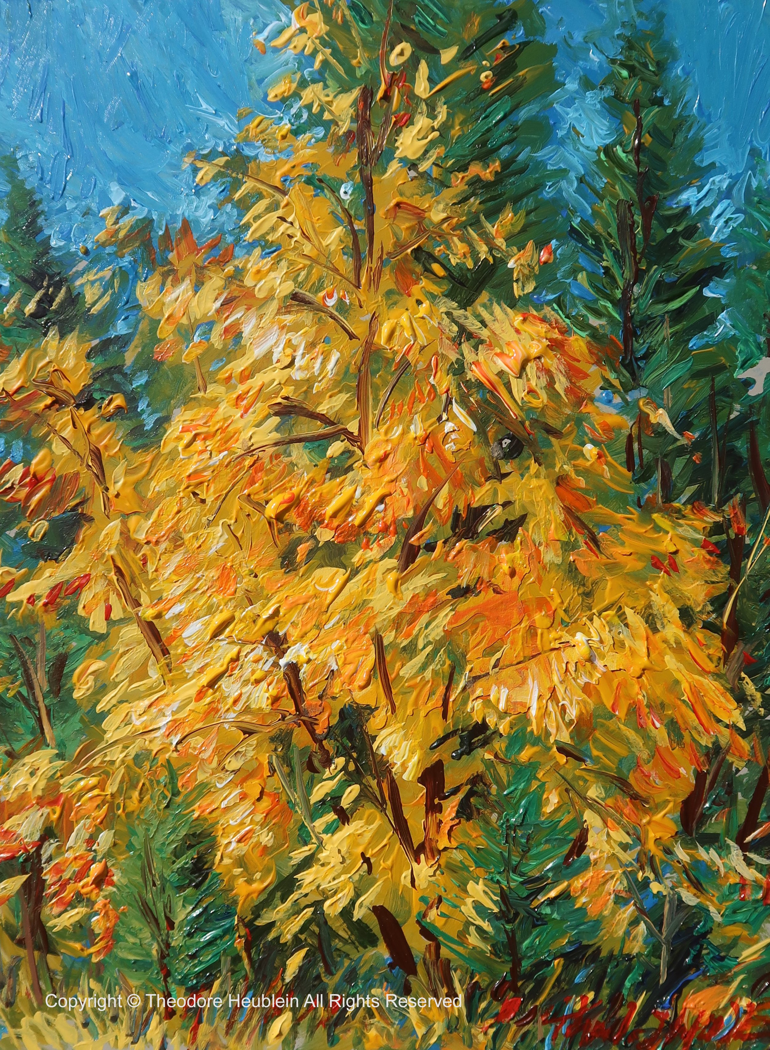 Yosemite Yellow Tree