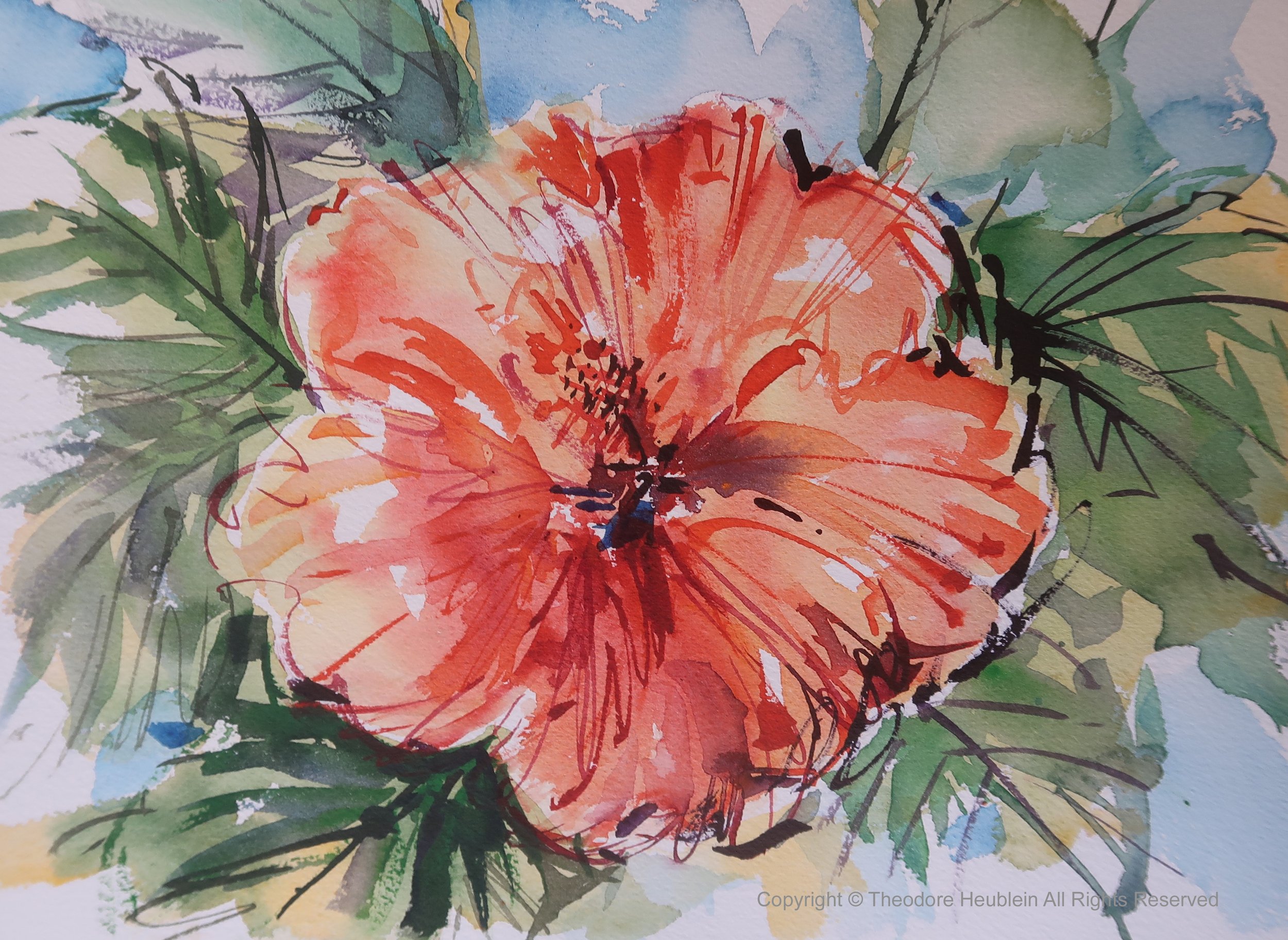 Front Porch Hibiscus 24