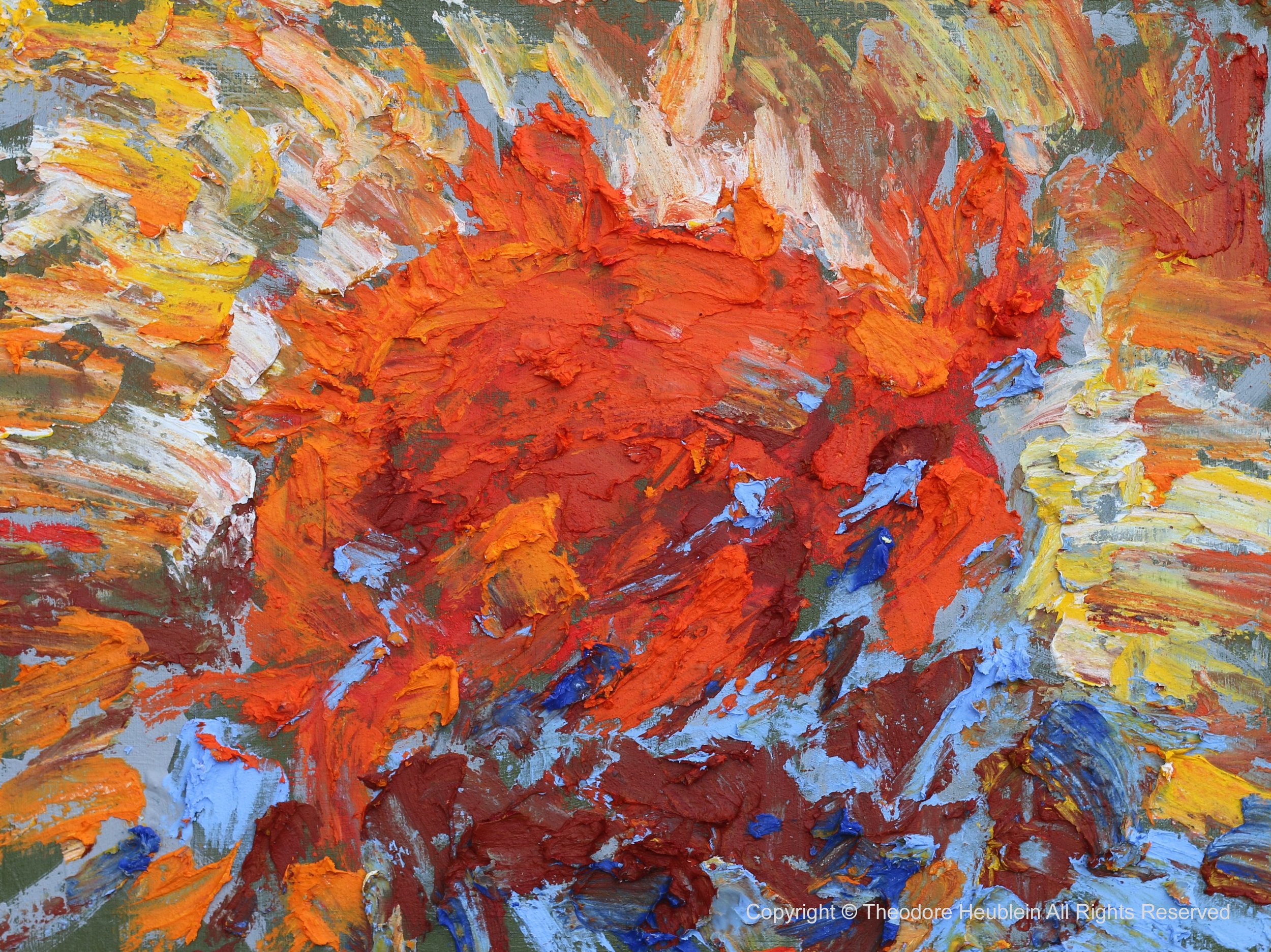 San Carlos Dendronotus