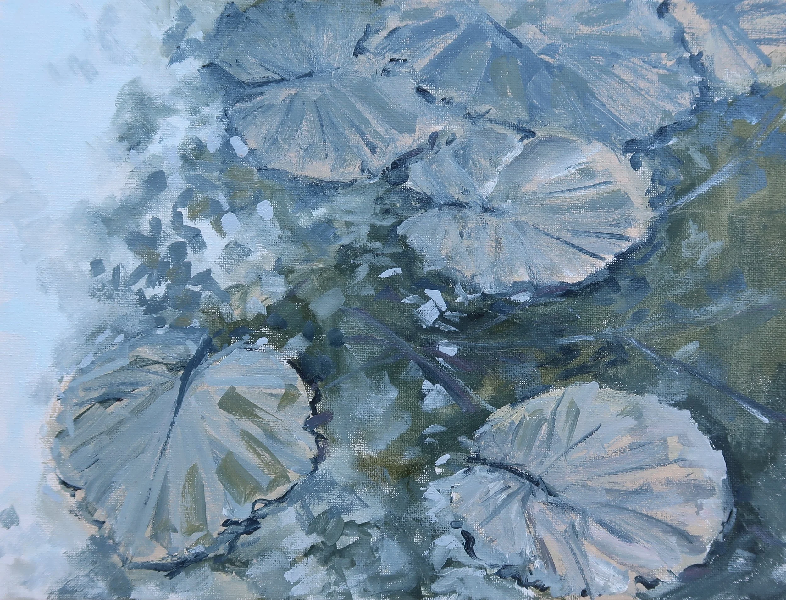 Giverny Lilly Pads