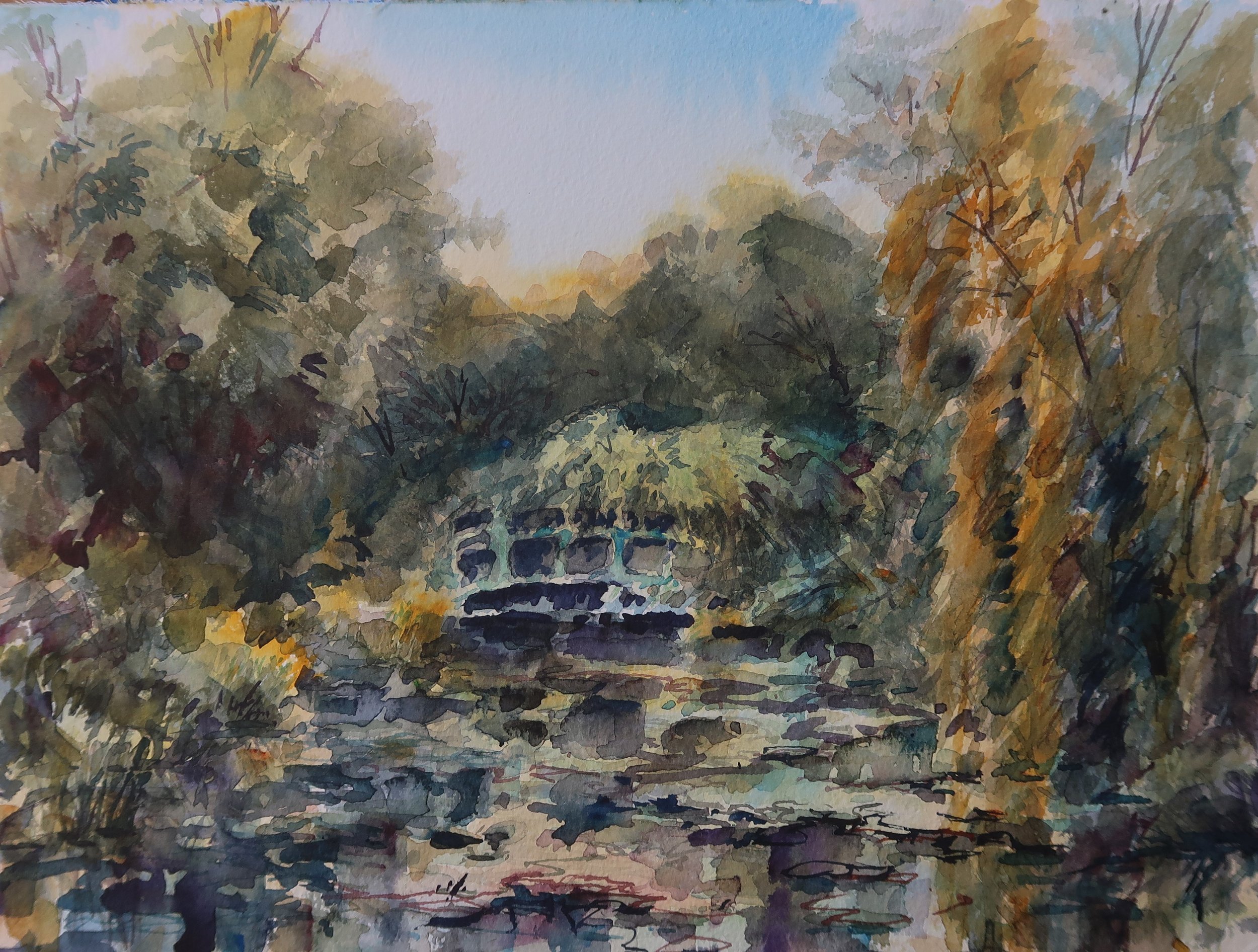Giverny Nymphea Pond