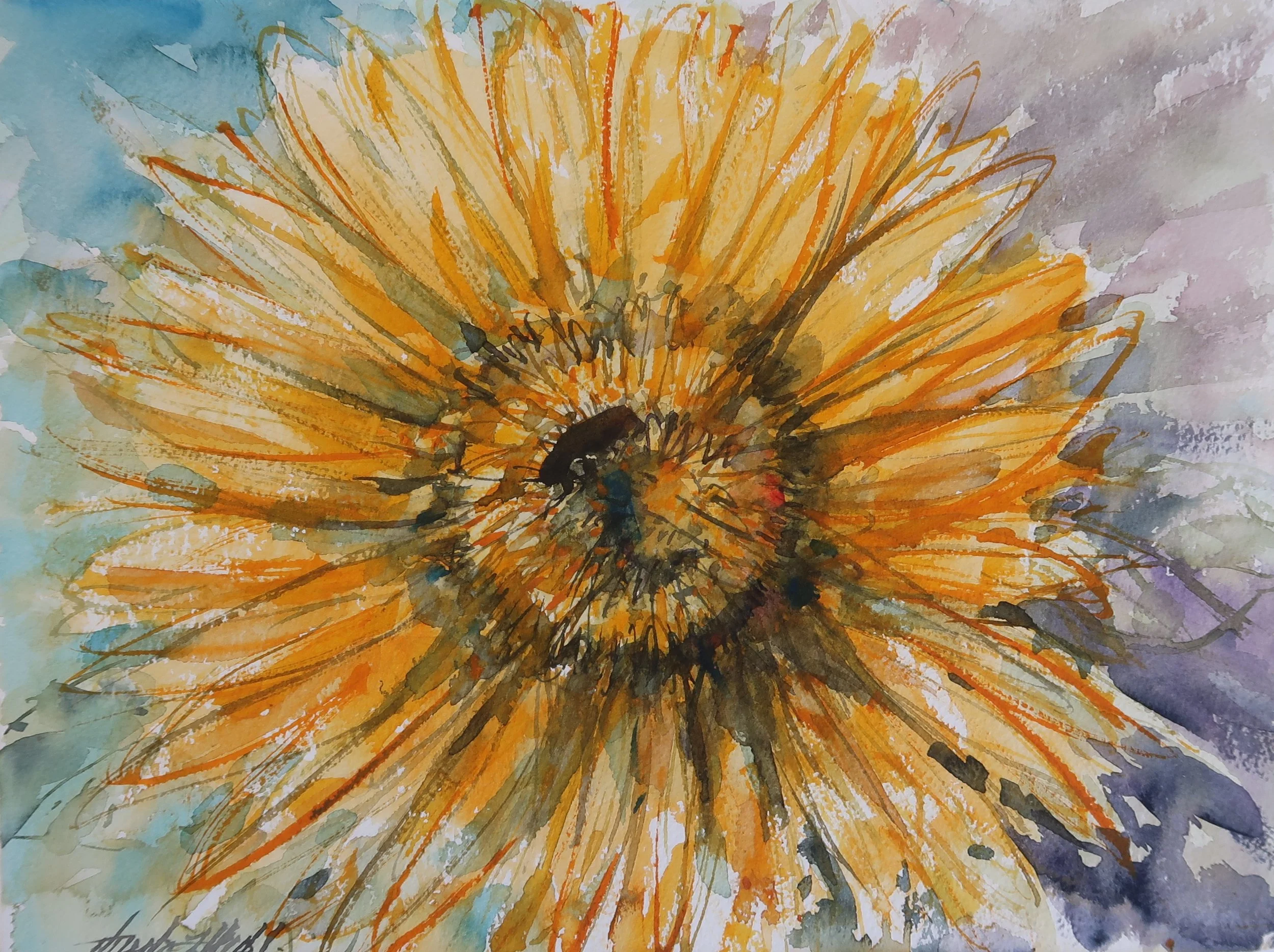 Sunflower