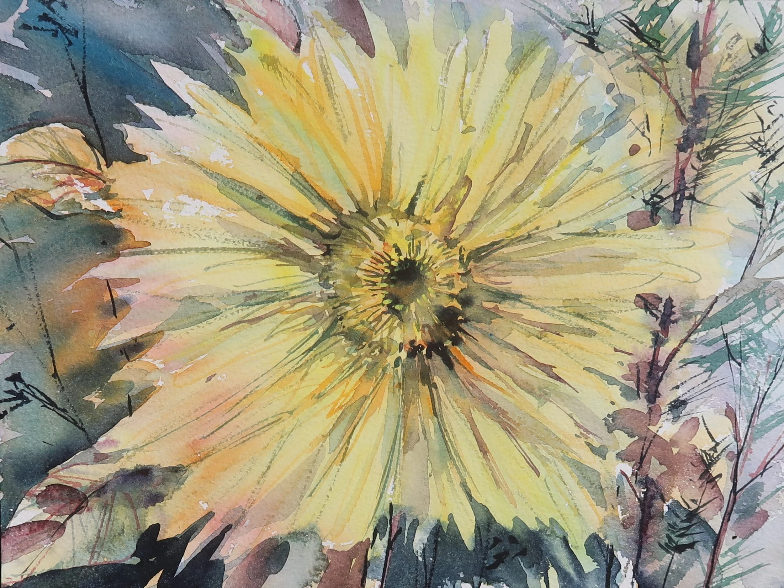 Sunflower 2