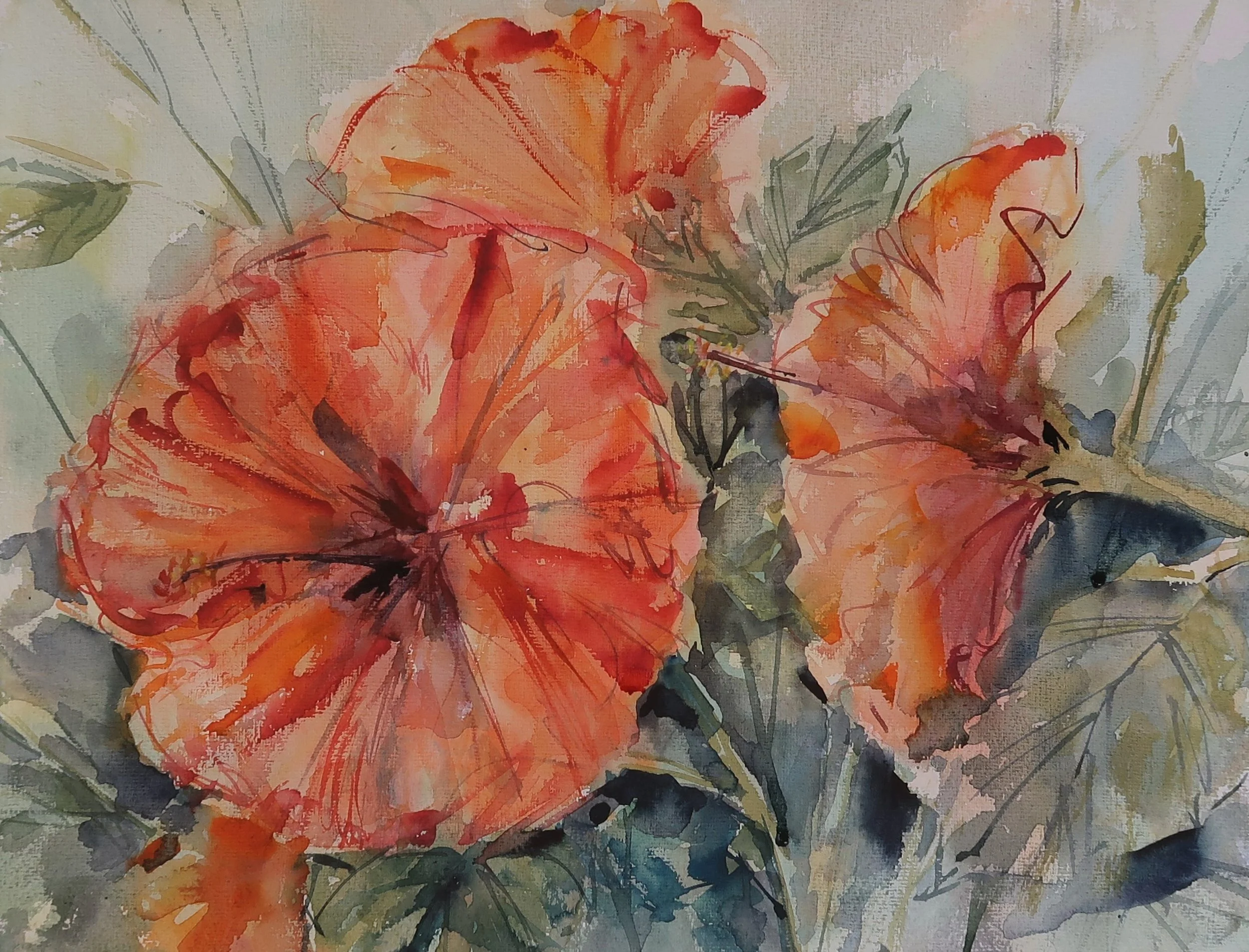 Front Porch Hibiscus 25 Watercolor 16x20 20220815.JPG