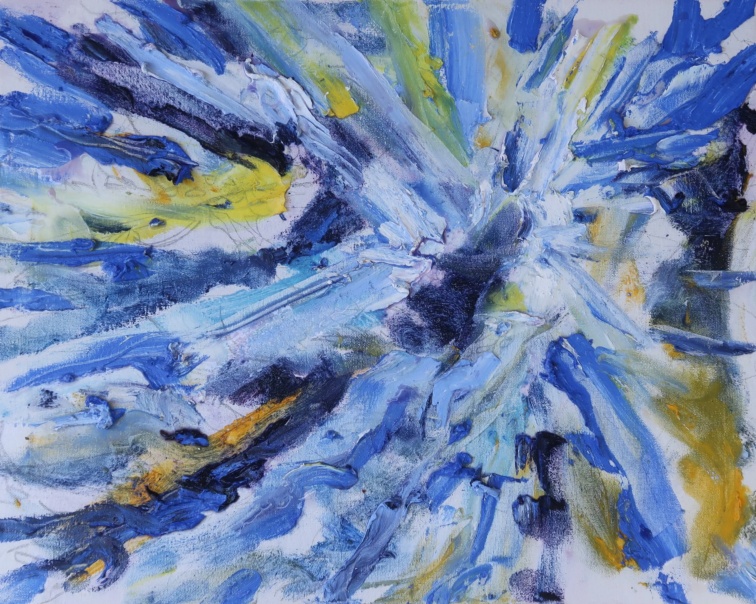 Point Lobos SNR from Below