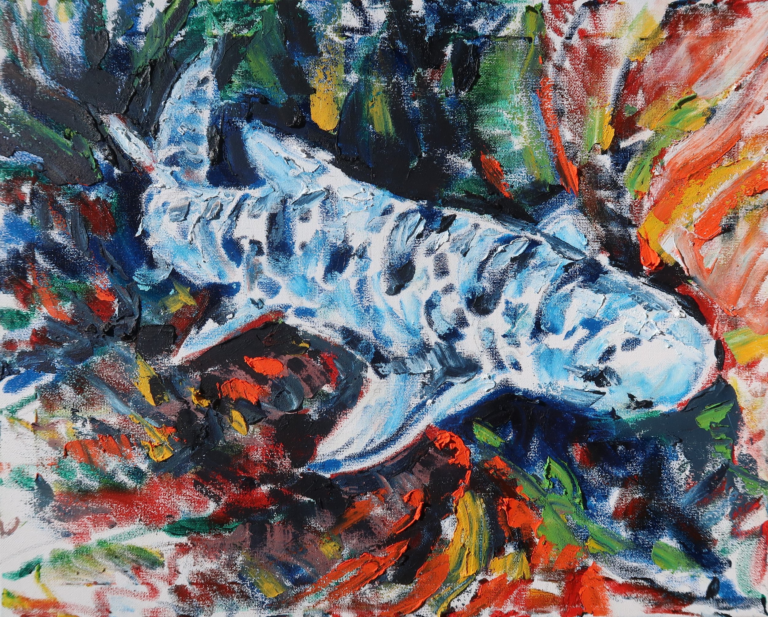 Leopard Shark Betos Reef Oil 16x20.JPG