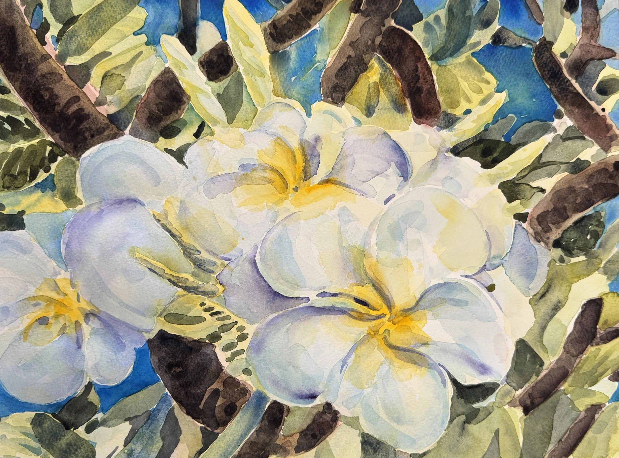 Kauai Plumeria