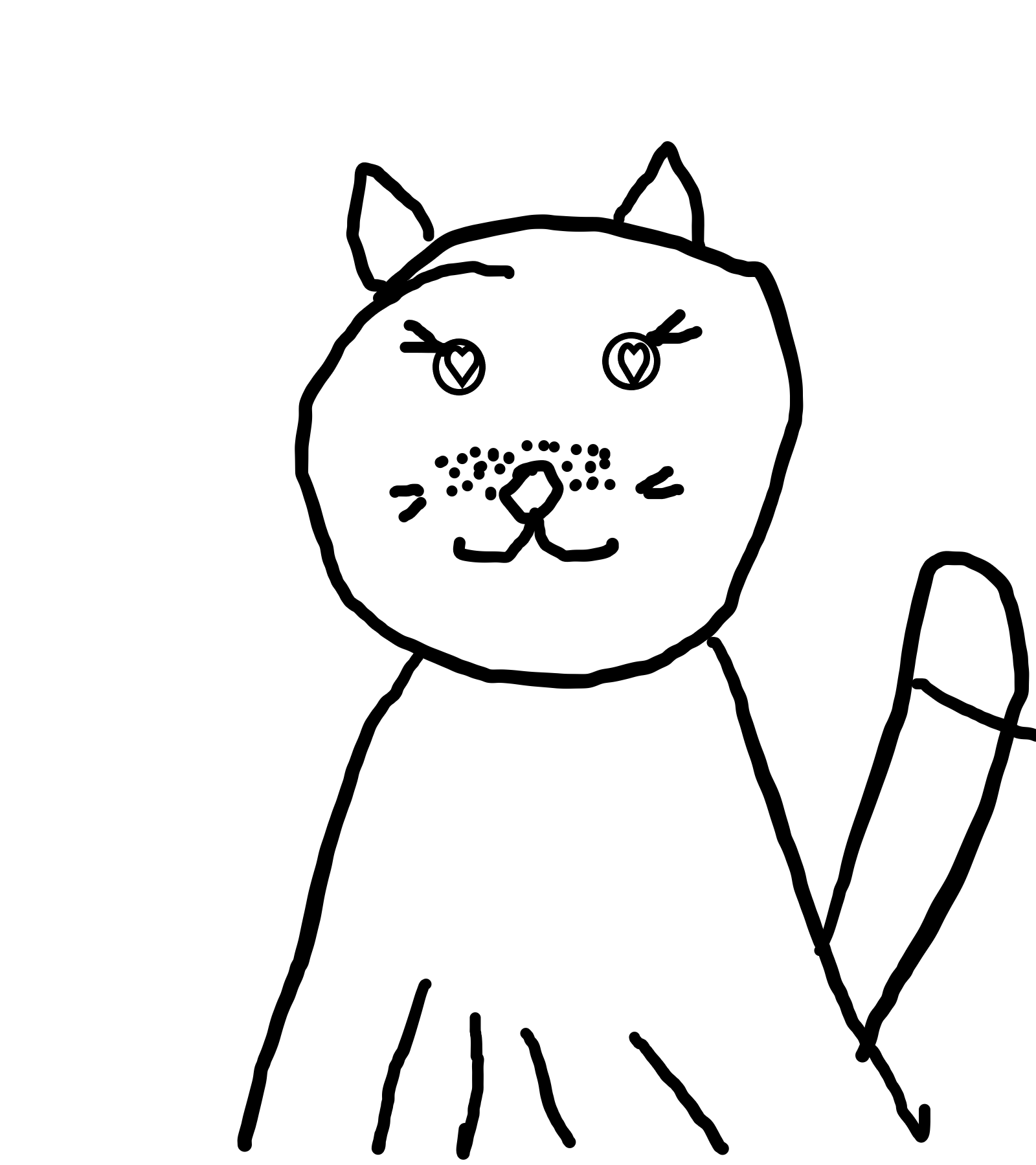 cat.png