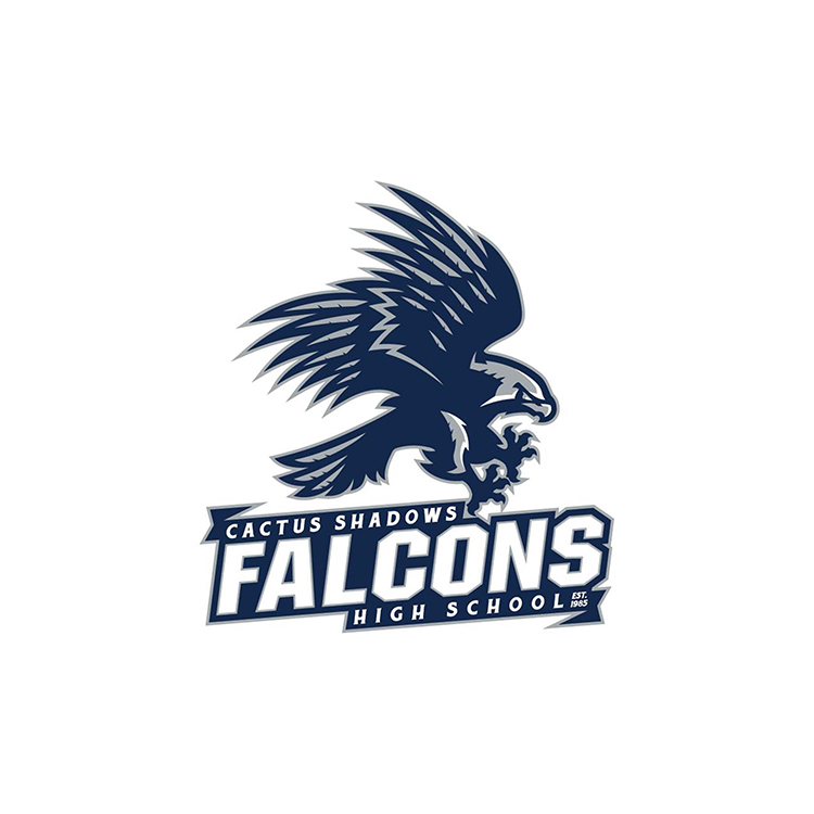 Falcons