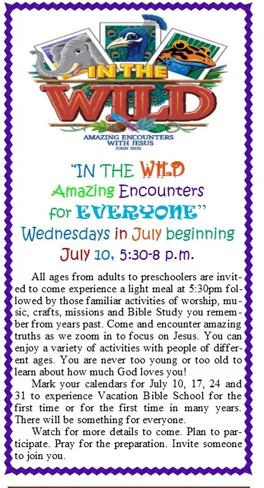 vbs Picture.jpg