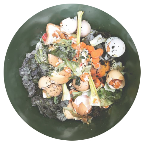Residentialfoodwaste copy.jpg