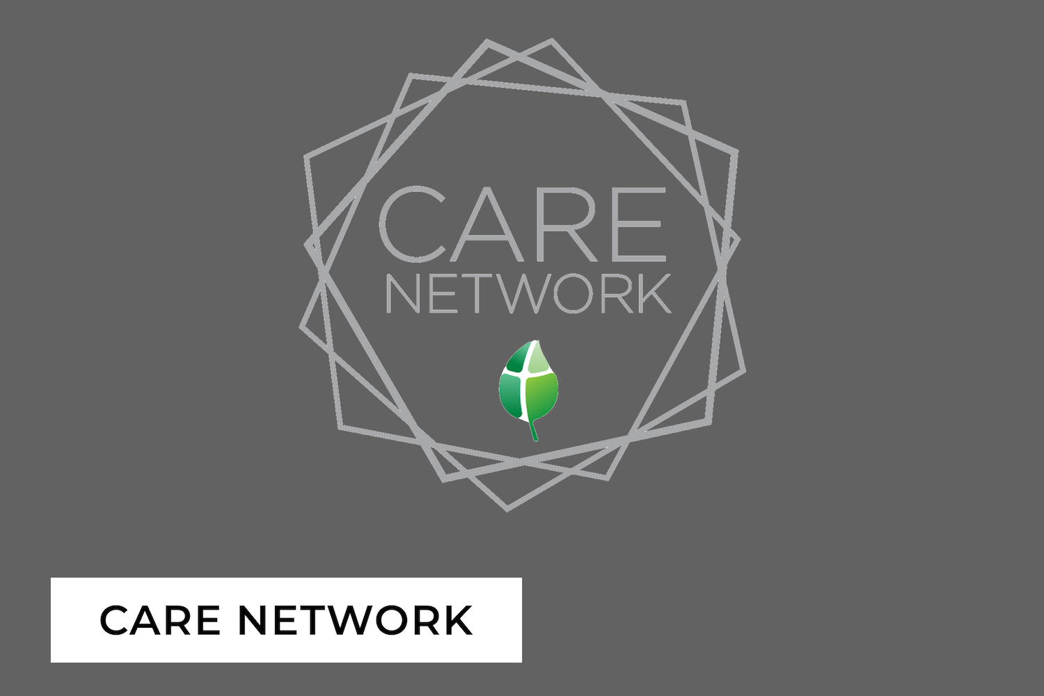 care-network copy.png