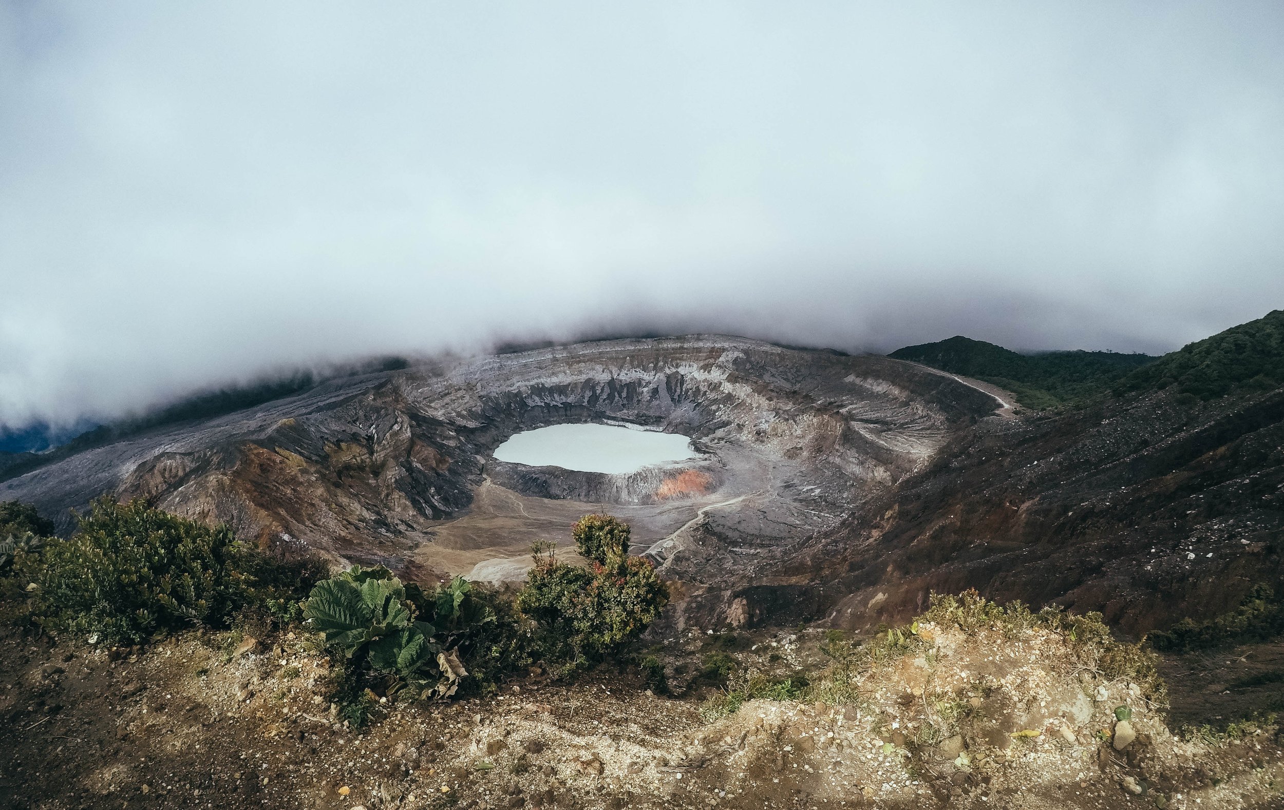 alvaro-hernandez-612930-unsplash.jpg