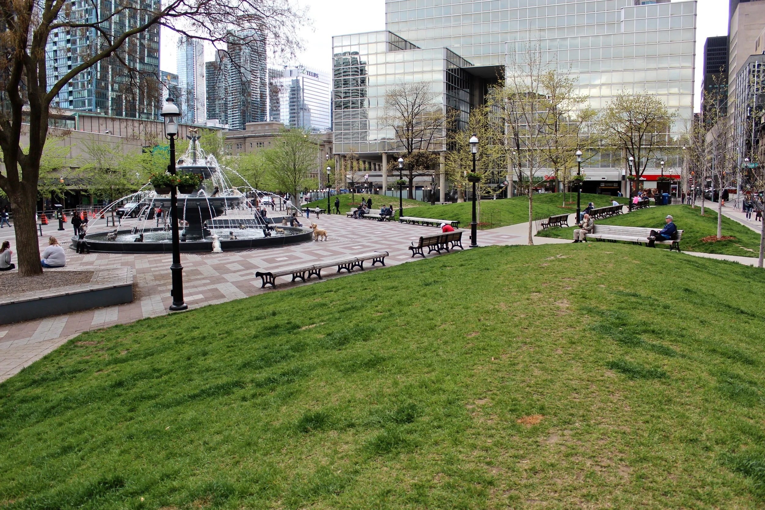 Berczy.jpg