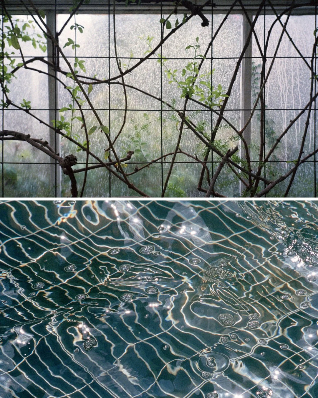 🌫️✨ S.A.D. is a quietly powerful digital exhibition by Chinese-Canadian artist and photographer Steven Beckly, now on view at the Square as part of @designtofestival.⁠
⁠
Referencing seasonal affective disorder&mdash;often known as the &ldquo;winter 