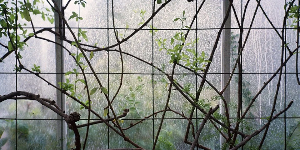 DesignTO_Steven Beckly_Horizontal (2).jpg