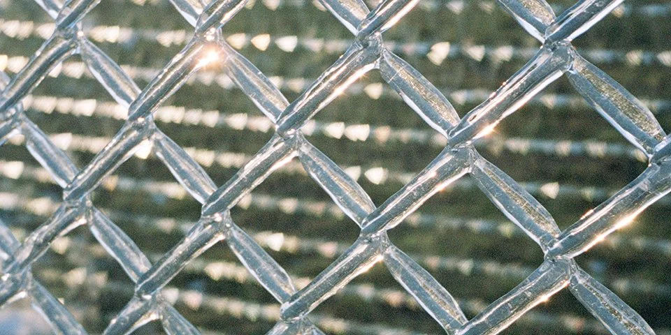 DesignTO_Steven Beckly_Horizontal (5).jpg