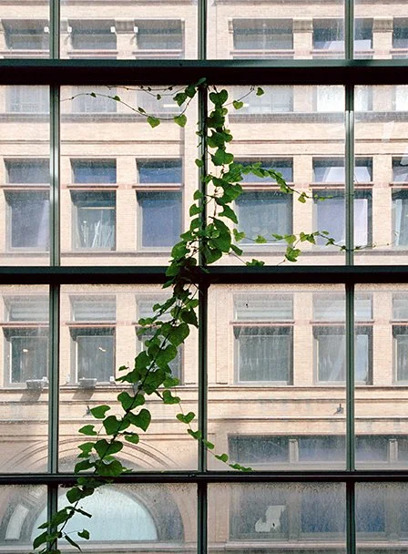 DesignTO_Steven Beckly_Vertical (3).jpg