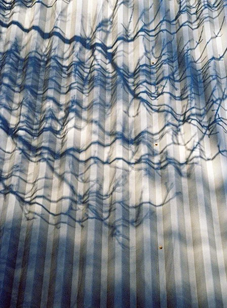 DesignTO_Steven Beckly_Vertical (4).jpg