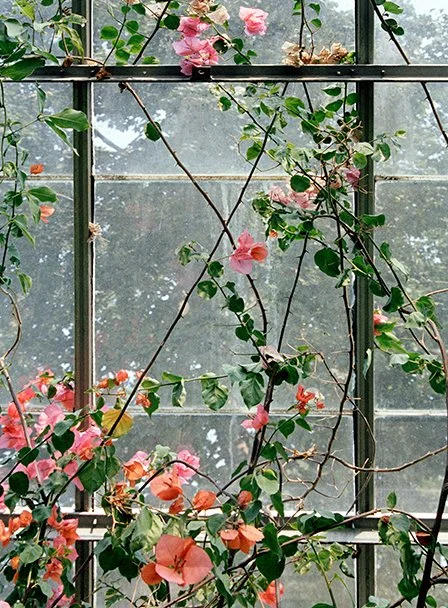 DesignTO_Steven Beckly_Vertical (5).jpg