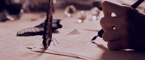 tumblr_mwn8gguoxd1sycp6ko1_500.gif