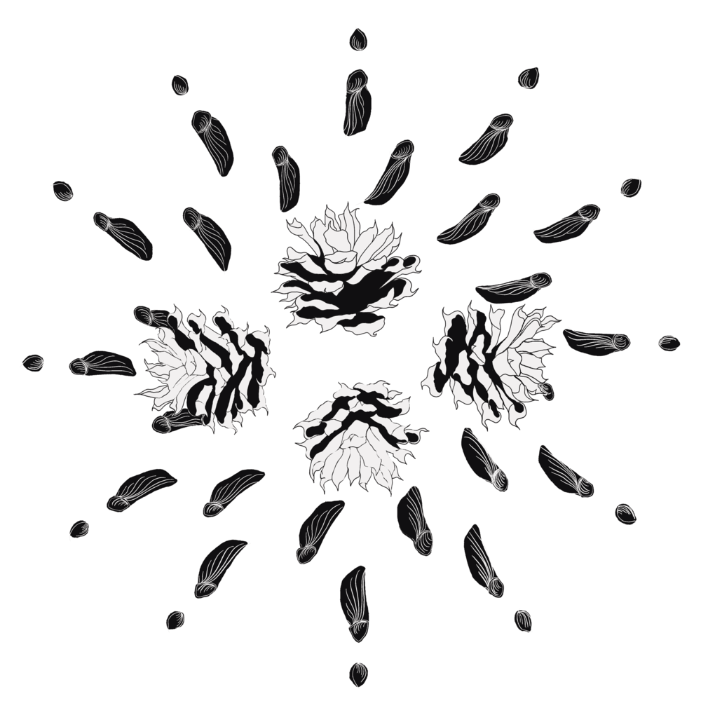Books and Periodicals Pigeon Parade Cover 2020.png