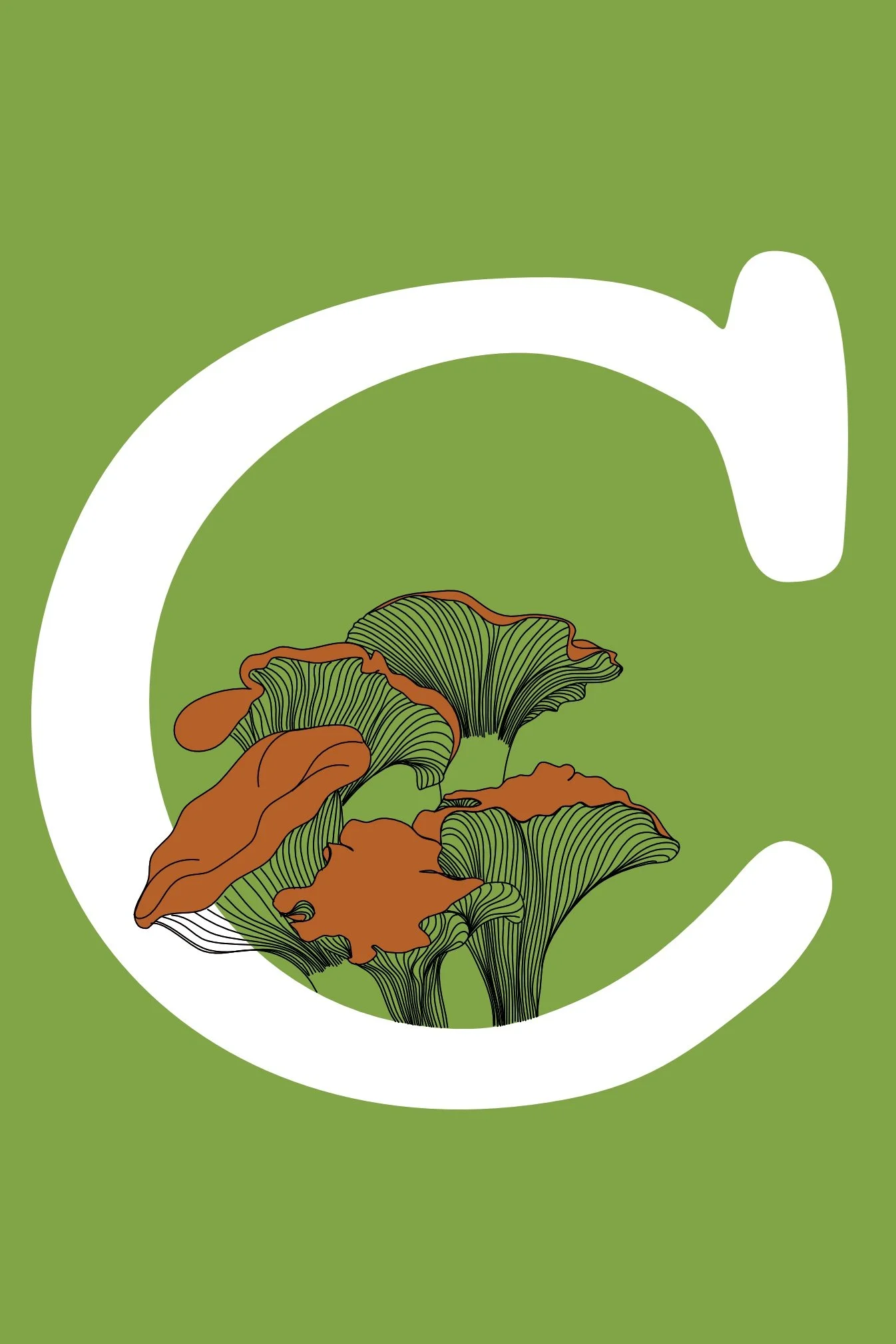 Spot Illustrations vid'l 2.jpeg