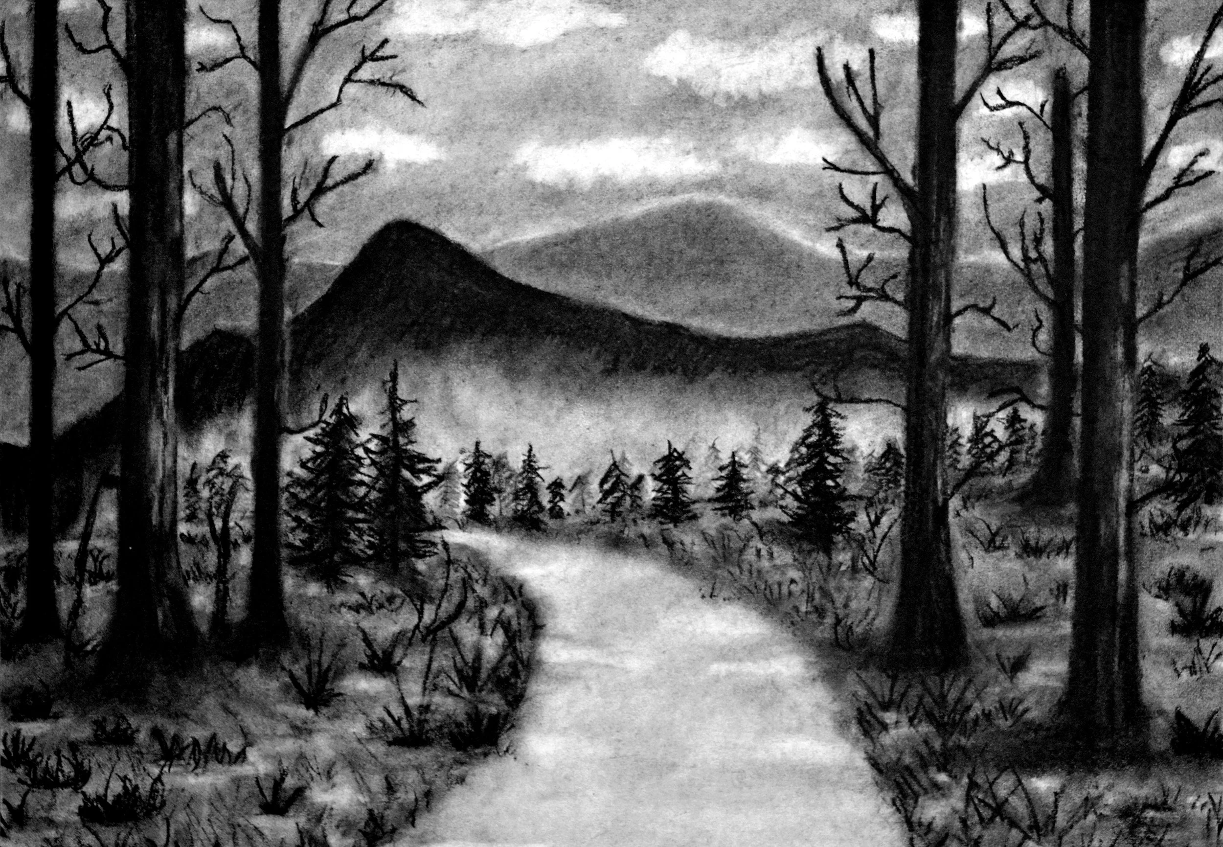 Forest copy.jpg