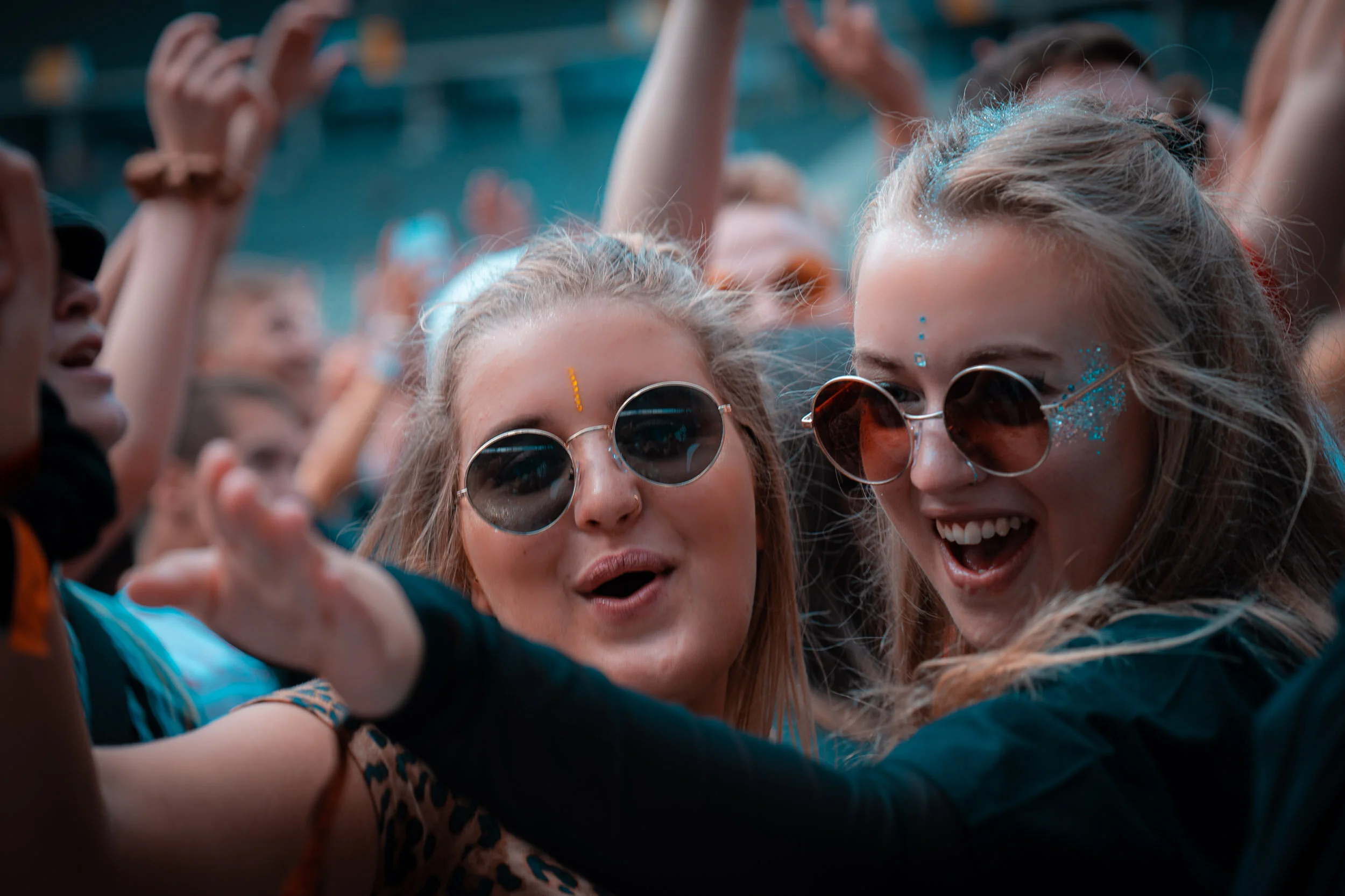 Lolla verbessert 2500-24.jpg