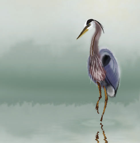 GreatBlueHeron.jpg