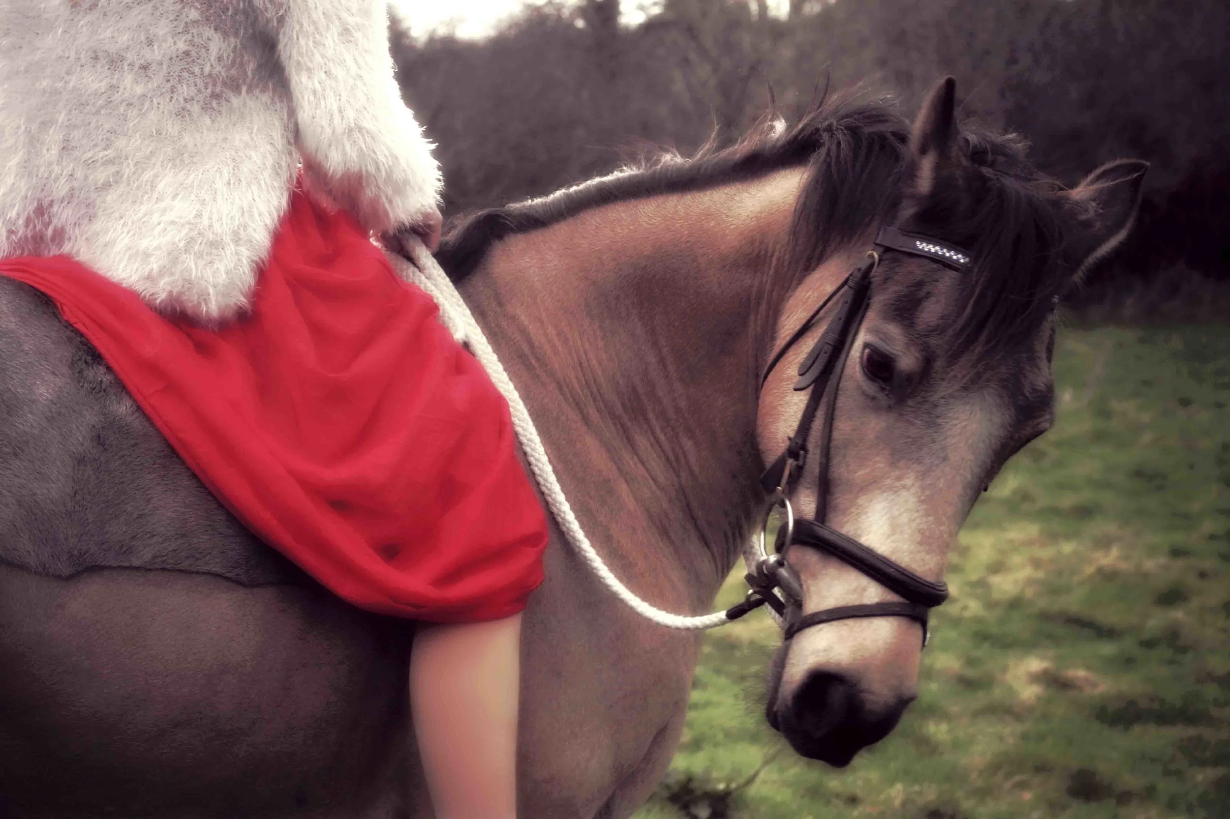 Part Two (6 of 12).JPG