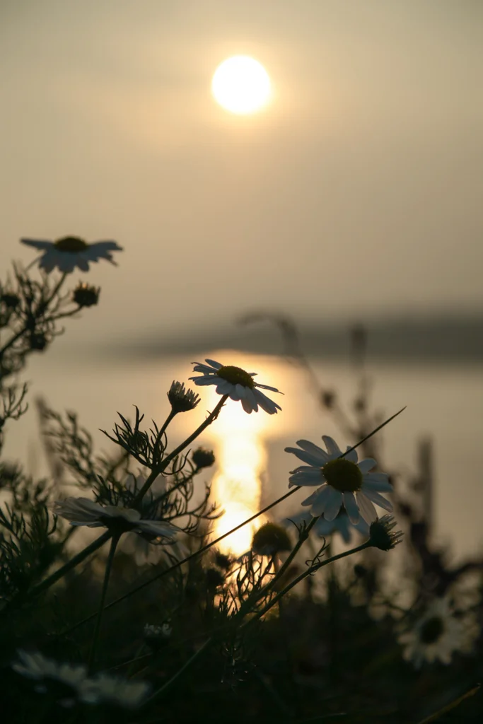 Its the small things.JPG