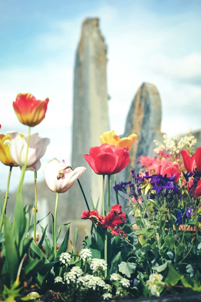 Library Lane 2nd Batch  (11).JPG