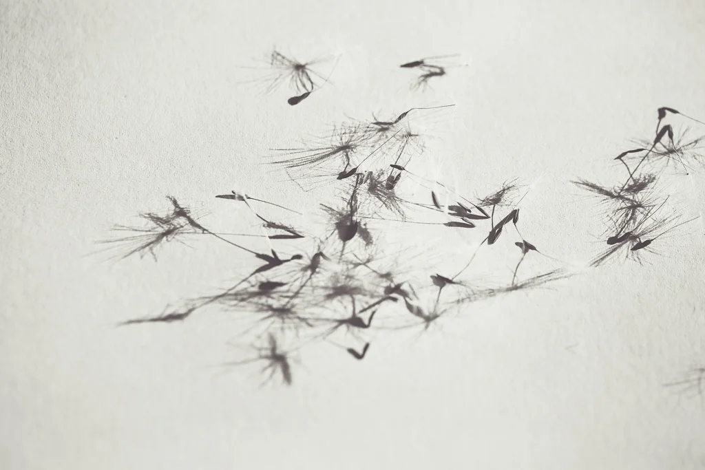 Wishes (1 of 1).JPG