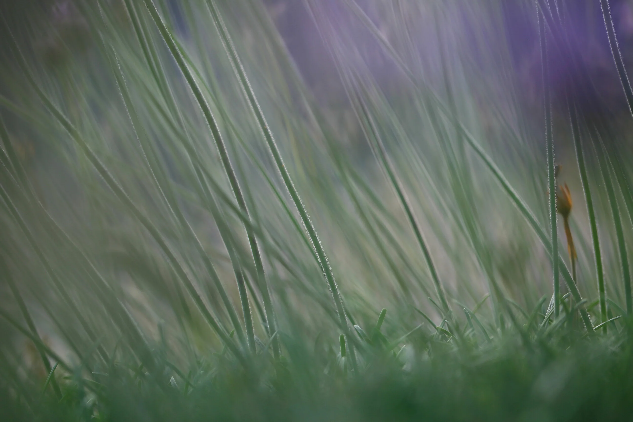 Somewhere in between